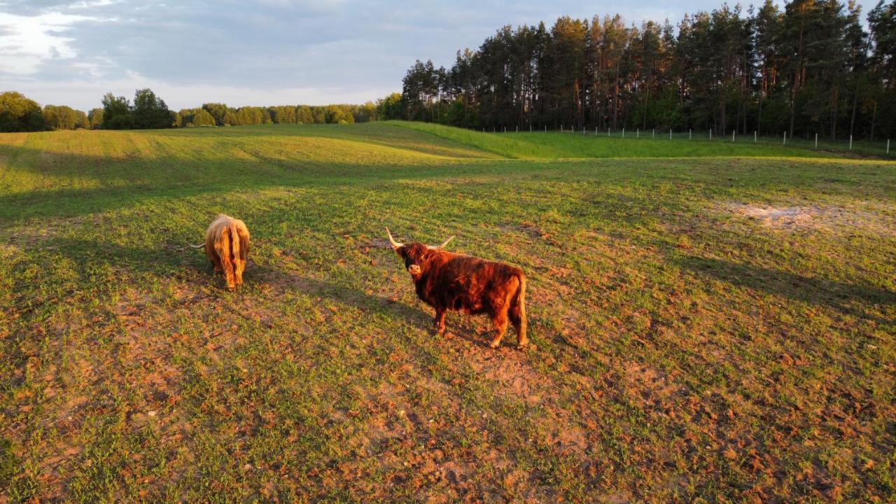 Krasne Pole Gospodarstwo Rolne Krasnopol Luaran gambar